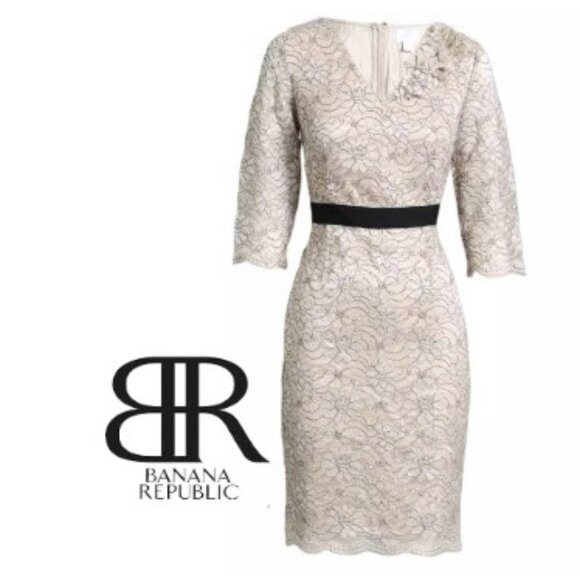 Banana Republic Champagne Metallic Lace Style Dress w Black Waistband Size 10 - Picture 1 of 10